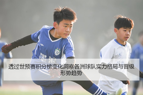透过世预赛积分榜变化洞察各洲球队实力格局与晋级形势趋势